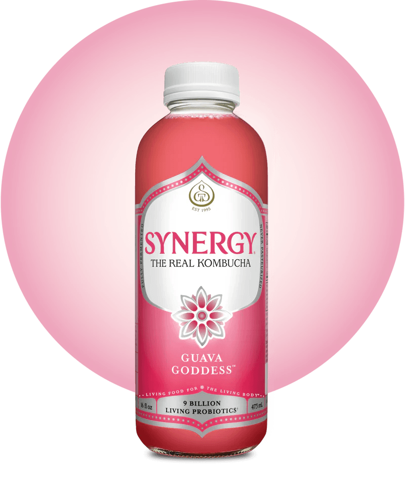 GT'S Synergy Kombucha Guava 16oz.