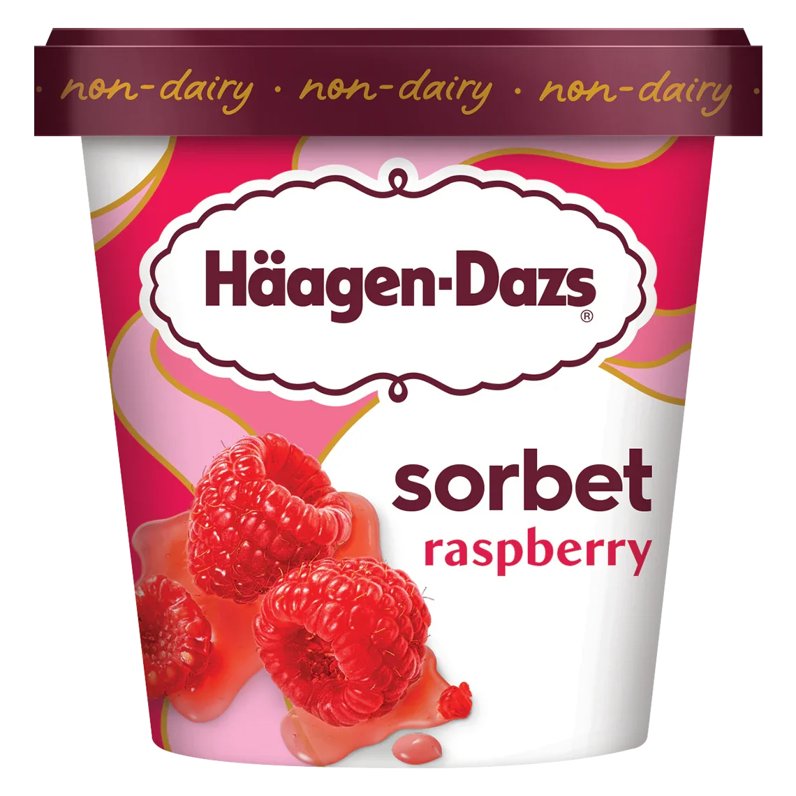 Haagen Dazs Raspberry Sorbet 14oz.