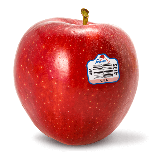 Fresh Fruit Gala Apples - Greenwich Village Farm