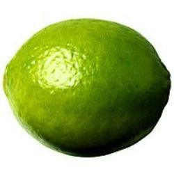 Fresh Lime - Greenwich Village Farm