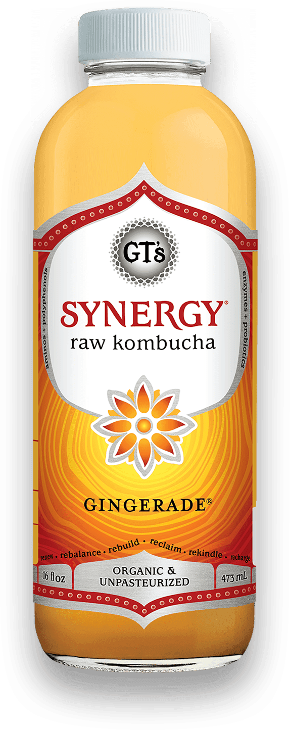 GT'S Synergy Kombucha Gingerade 16oz. - Greenwich Village Farm