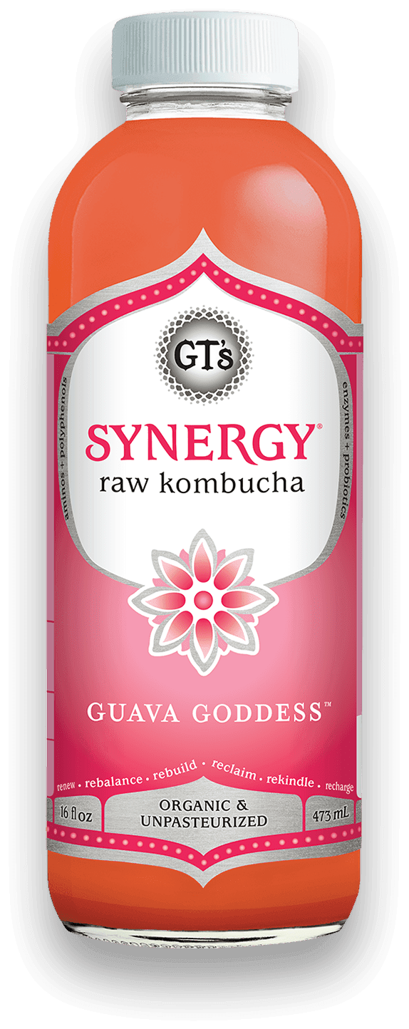 GT'S Synergy Kombucha Guava 16oz. - Greenwich Village Farm