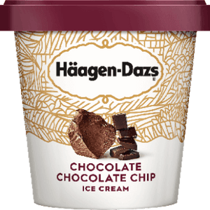 Haagen Dazs Ice Cream Chocolate Chocolate Chip 14oz. - Greenwich Village Farm