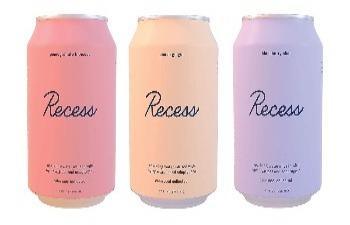 Recess Sparkling Water 12oz. - Greenwich Village Farm