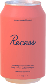 Recess Sparkling Water 12oz. - Greenwich Village Farm