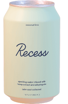 Recess Sparkling Water 12oz. - Greenwich Village Farm